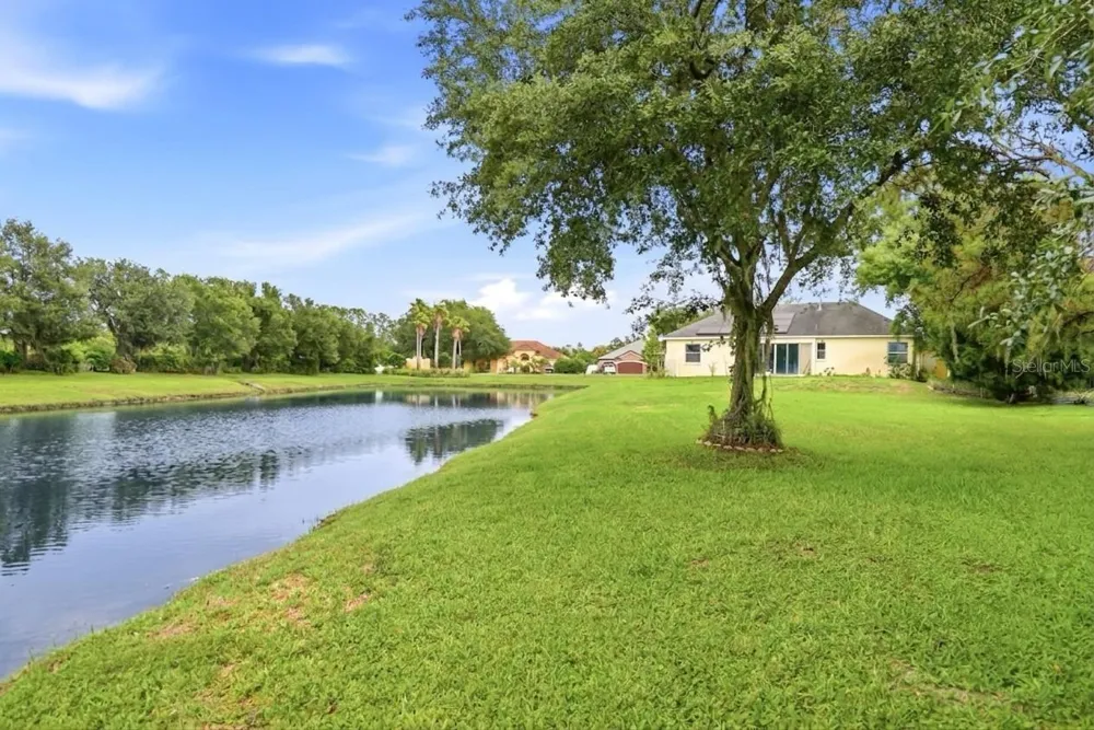 19930 DOLORES ANN COURT Lutz, FL 33549