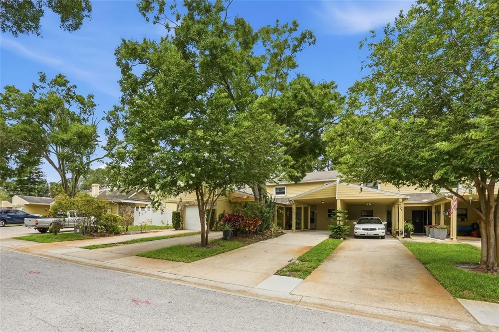 205 SOMERSET LANE Palm Harbor, FL 34684