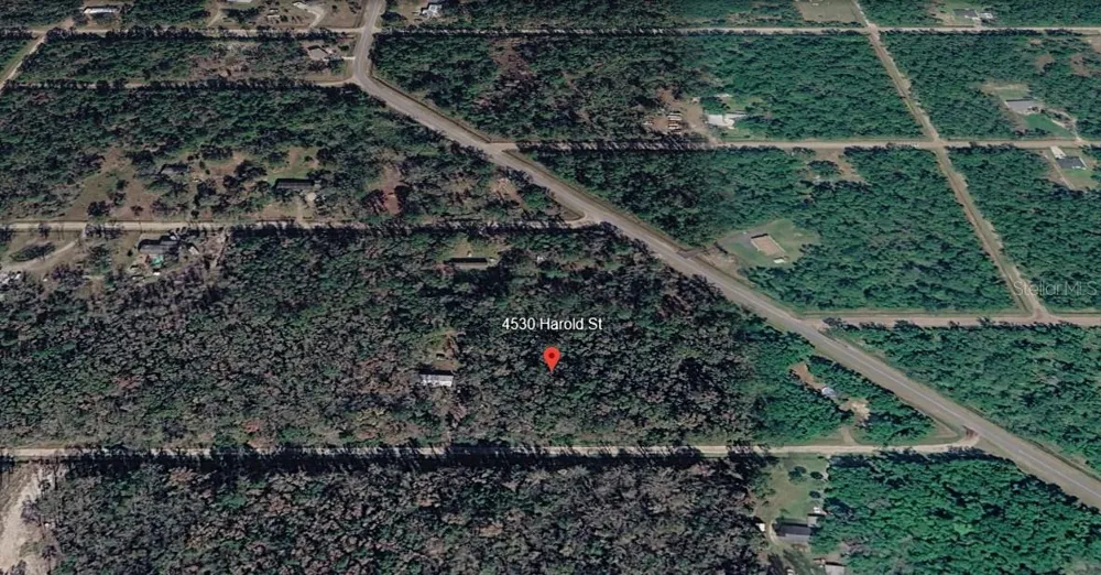 4530 HAROLD STREET Hastings, FL 32145