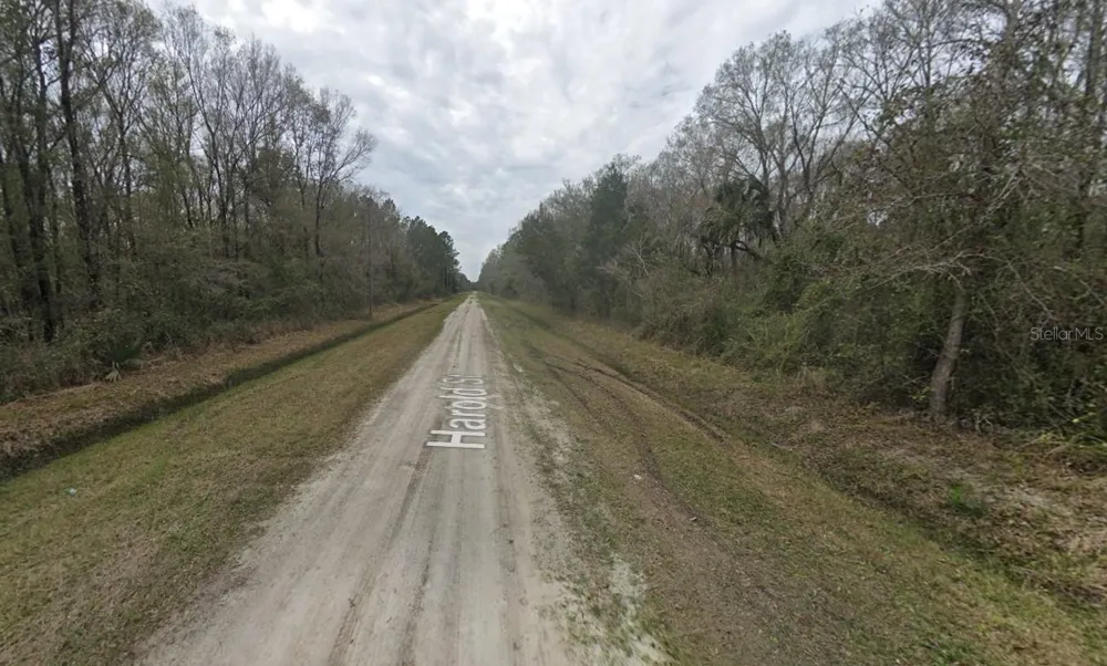4530 HAROLD STREET Hastings, FL 32145