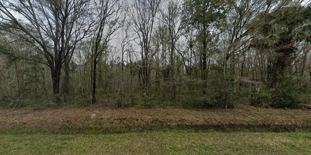 4530 HAROLD STREET Hastings, FL 32145