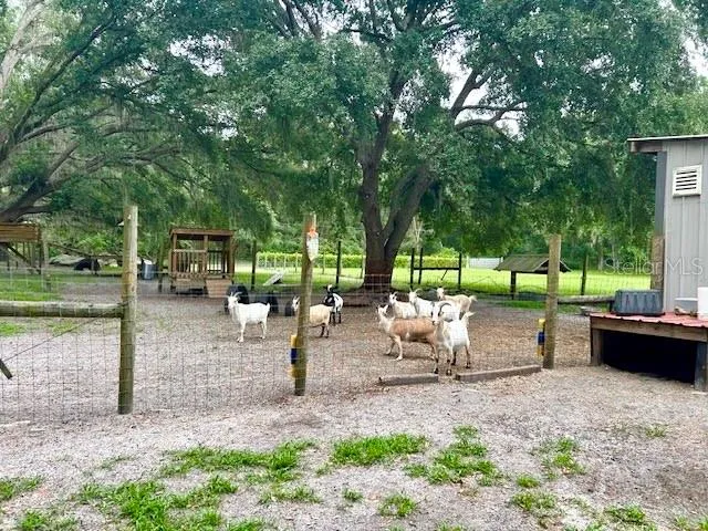 528 ASHLEY LANE Center Hill, FL 33514