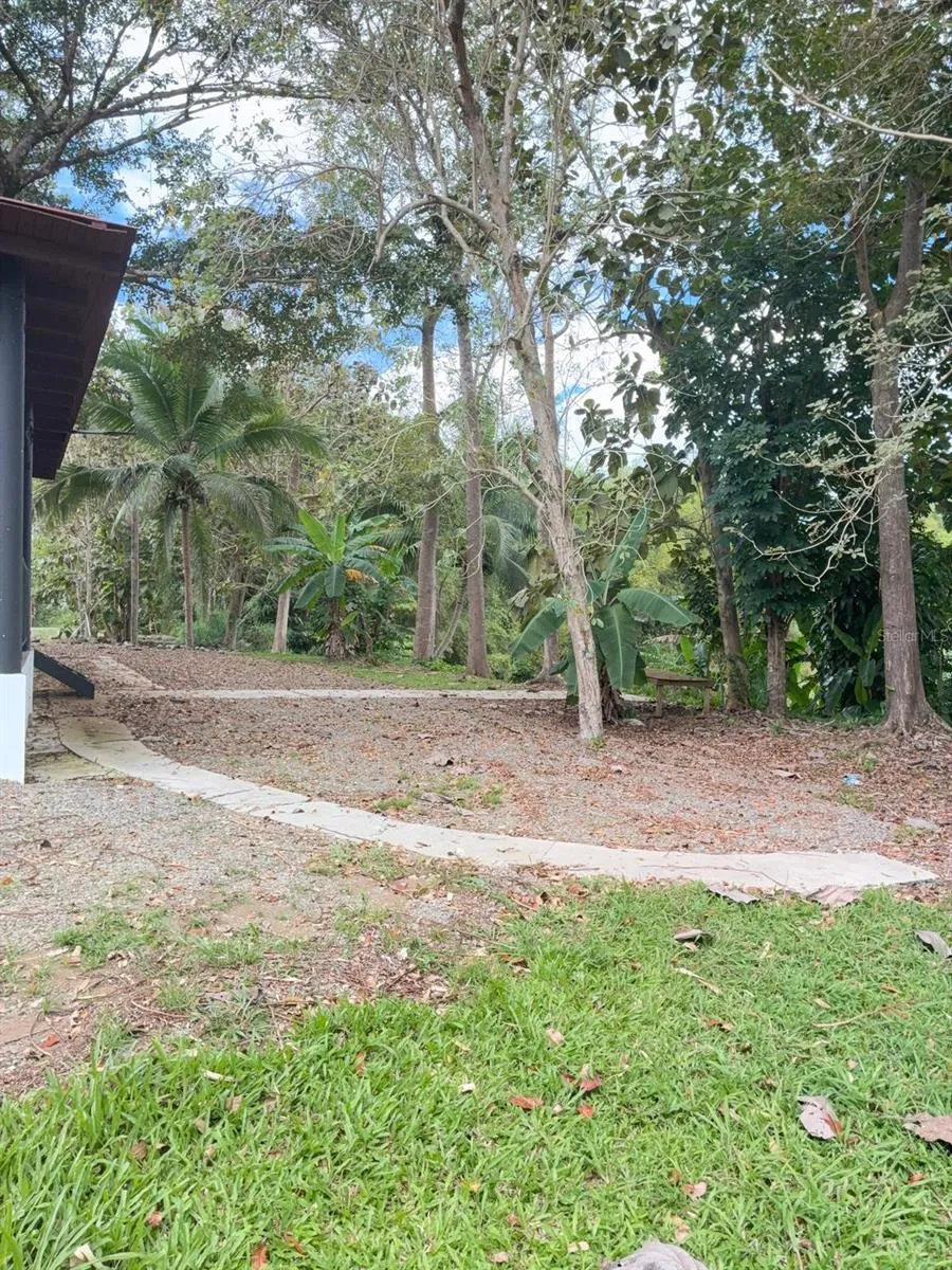 119 CARR 119 BO POZAS San Sebastian, PR 00685