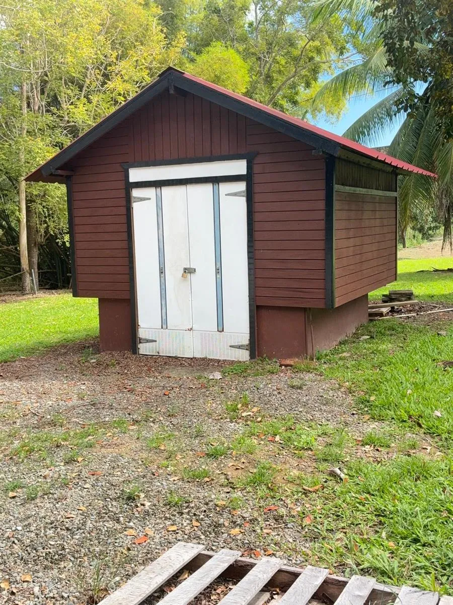 119 CARR 119 BO POZAS San Sebastian, PR 00685
