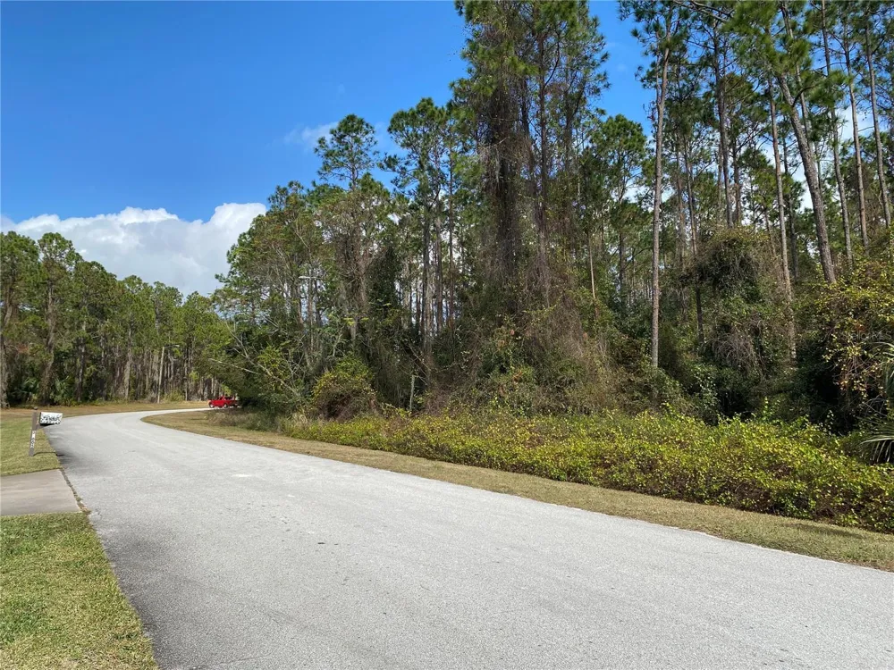 31004 SECRETARIAT TRAIL Leesburg, FL 34748