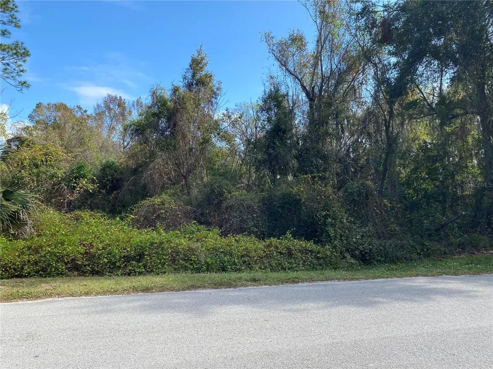 31004 SECRETARIAT TRAIL Leesburg, FL 34748