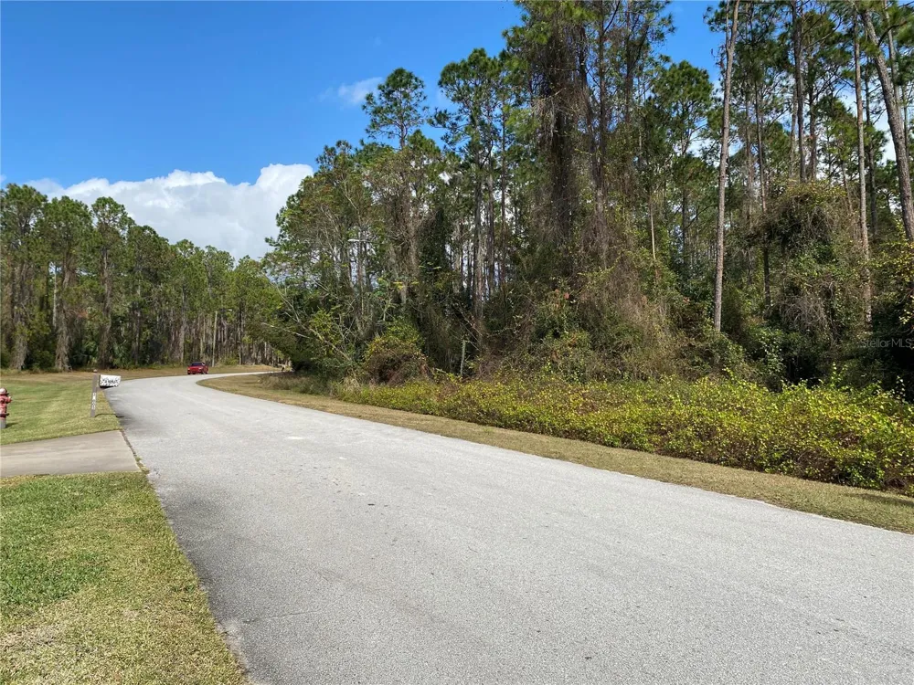 31004 SECRETARIAT TRAIL Leesburg, FL 34748