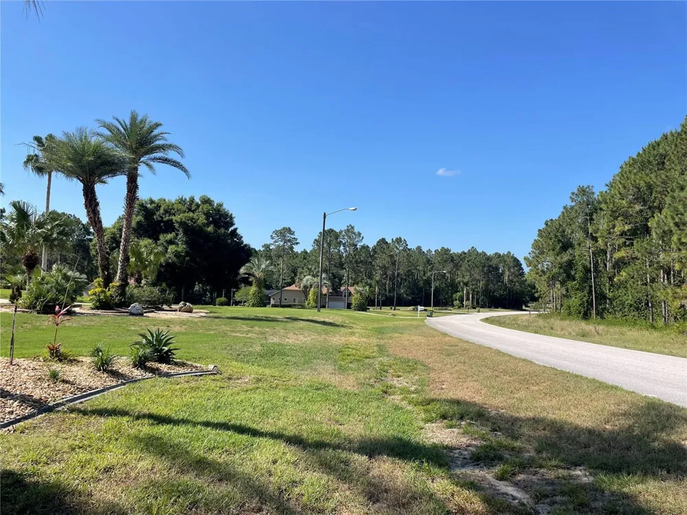 31004 SECRETARIAT TRAIL Leesburg, FL 34748