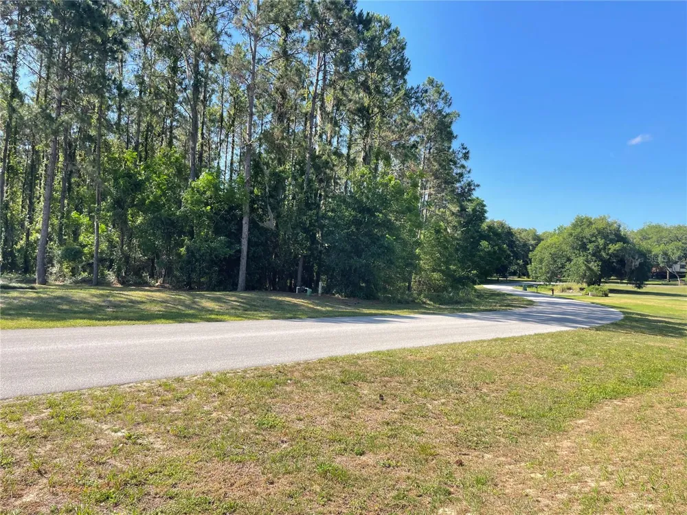 31004 SECRETARIAT TRAIL Leesburg, FL 34748