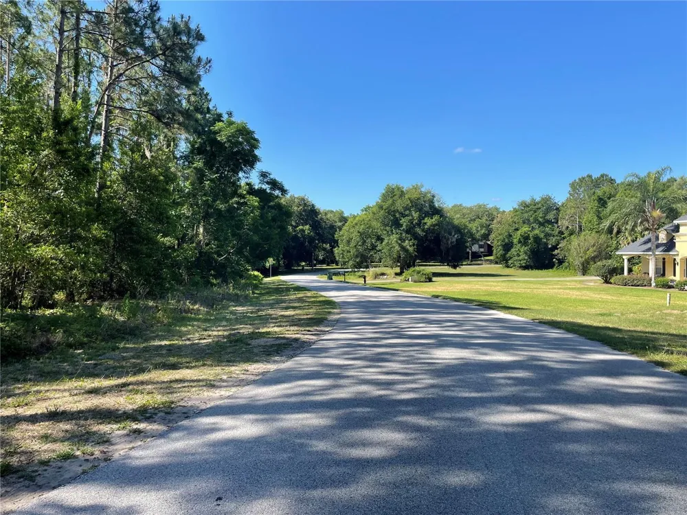 31004 SECRETARIAT TRAIL Leesburg, FL 34748