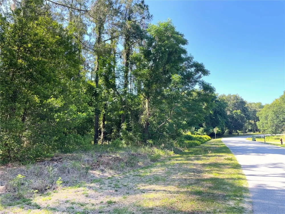 31004 SECRETARIAT TRAIL Leesburg, FL 34748