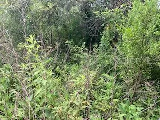SWEETWATER TRAIL Kissimmee, FL 34747