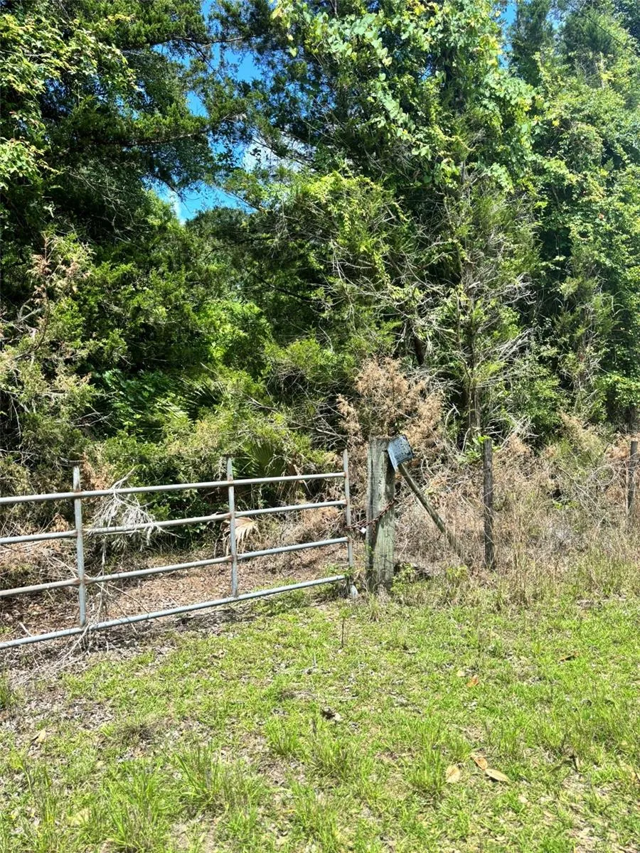 11916 NW 80TH COURT Chiefland, FL 32626