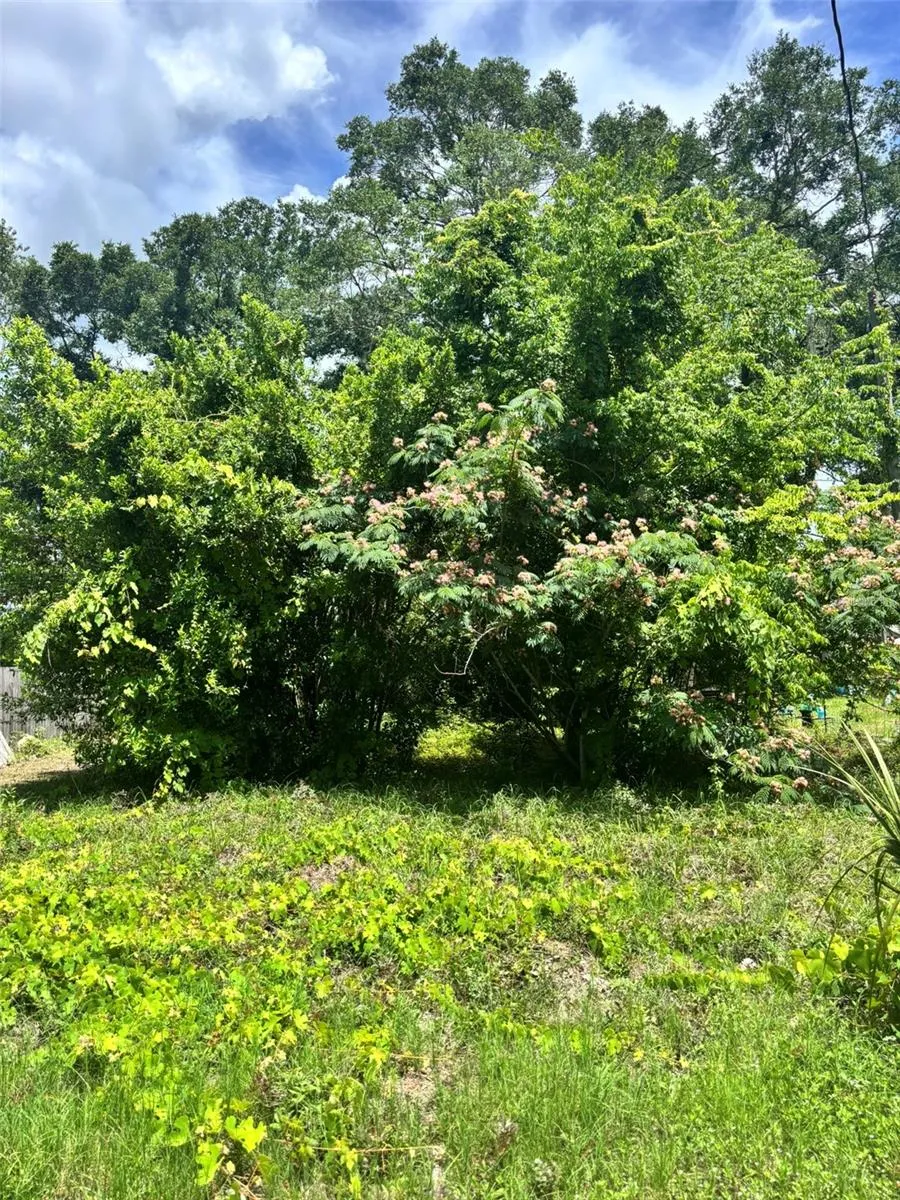206 NE 13TH AVENUE Chiefland, FL 32626