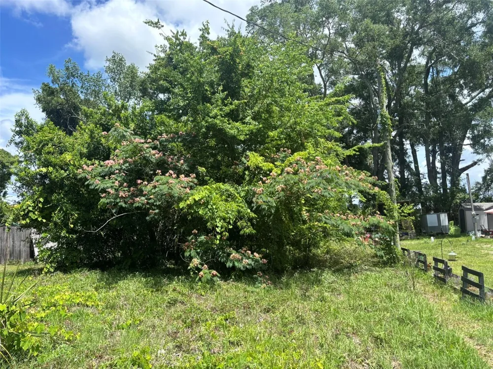 206 NE 13TH AVENUE Chiefland, FL 32626