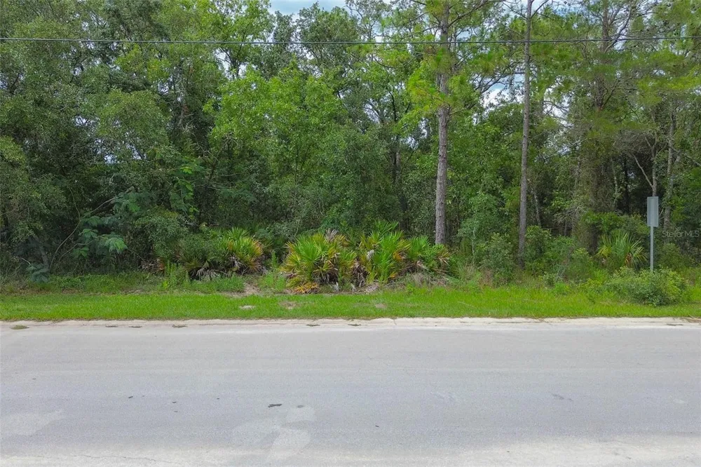 6859 W MERRIVALE LANE Homosassa, FL 34446