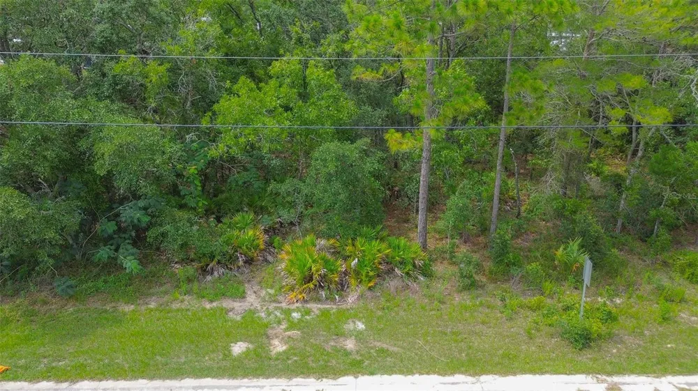 6859 W MERRIVALE LANE Homosassa, FL 34446