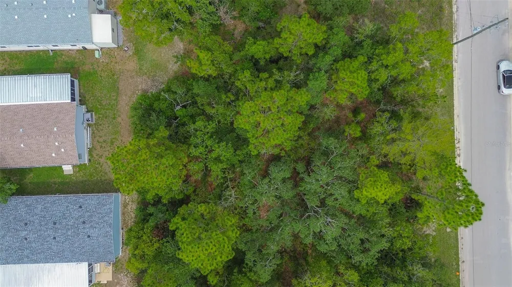 6859 W MERRIVALE LANE Homosassa, FL 34446