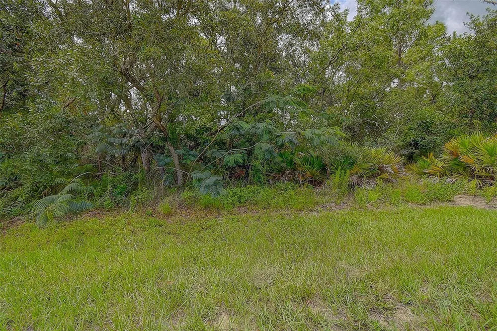 6859 W MERRIVALE LANE Homosassa, FL 34446
