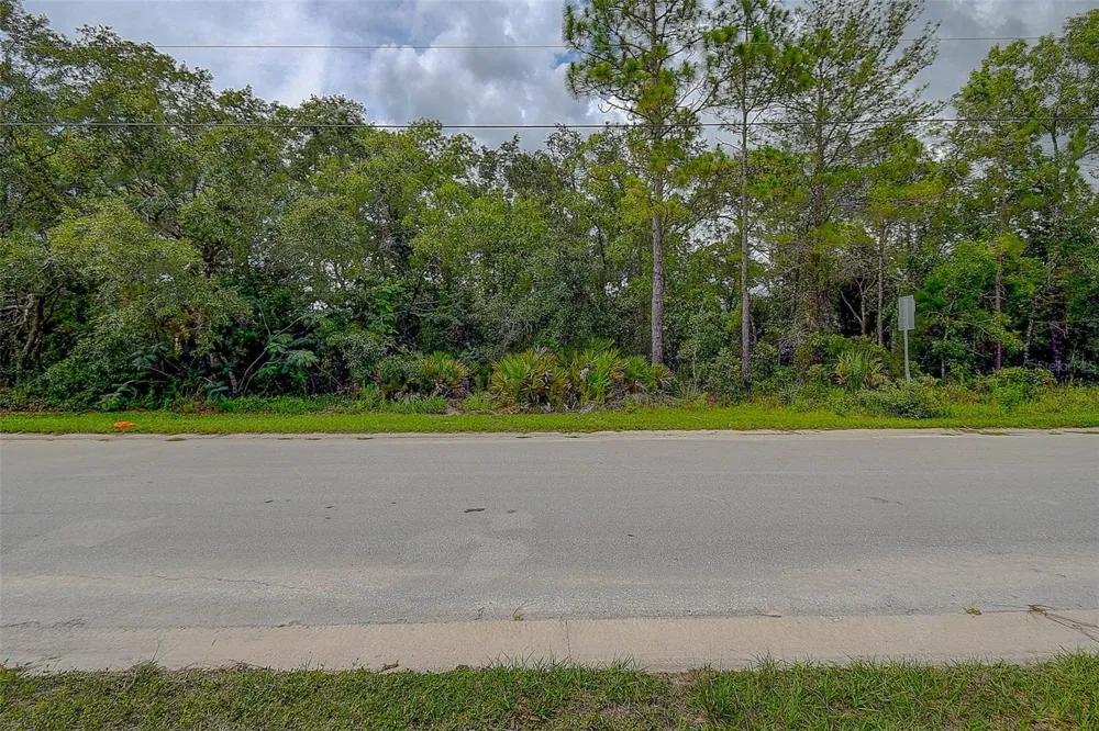 6859 W MERRIVALE LANE Homosassa, FL 34446