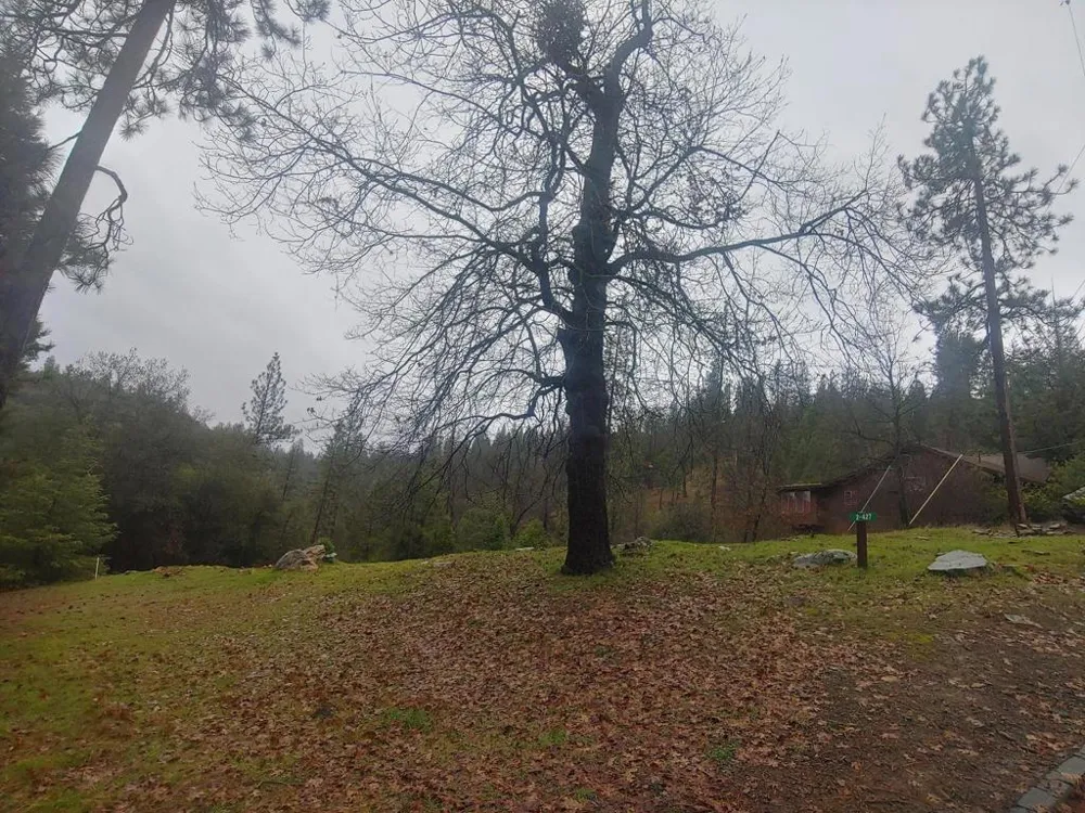 13003 Wells Fargo Drive Groveland, CA 95321