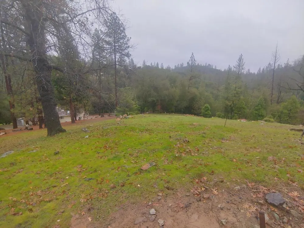 13003 Wells Fargo Drive Groveland, CA 95321