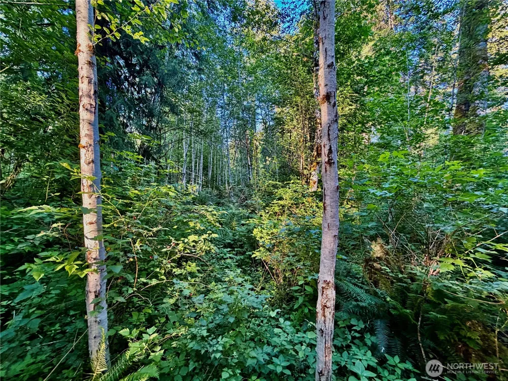 7546 Colleen Court Glacier, WA 98244