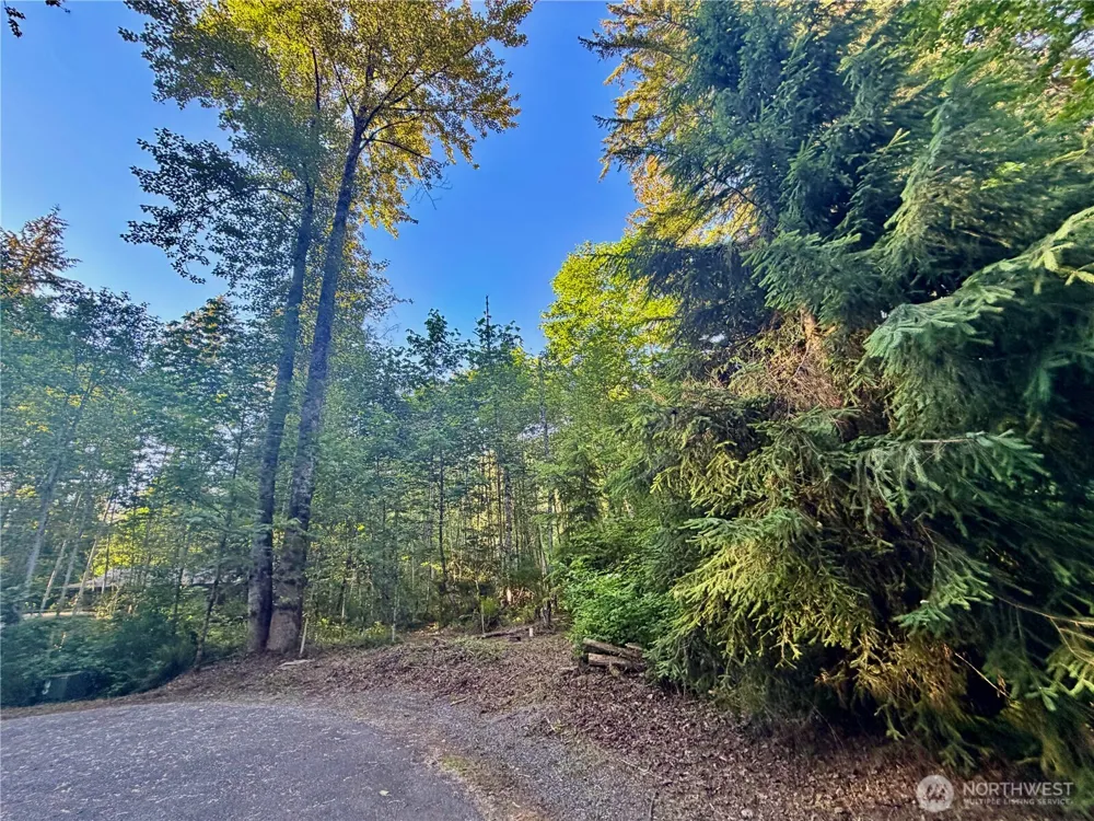 7546 Colleen Court Glacier, WA 98244