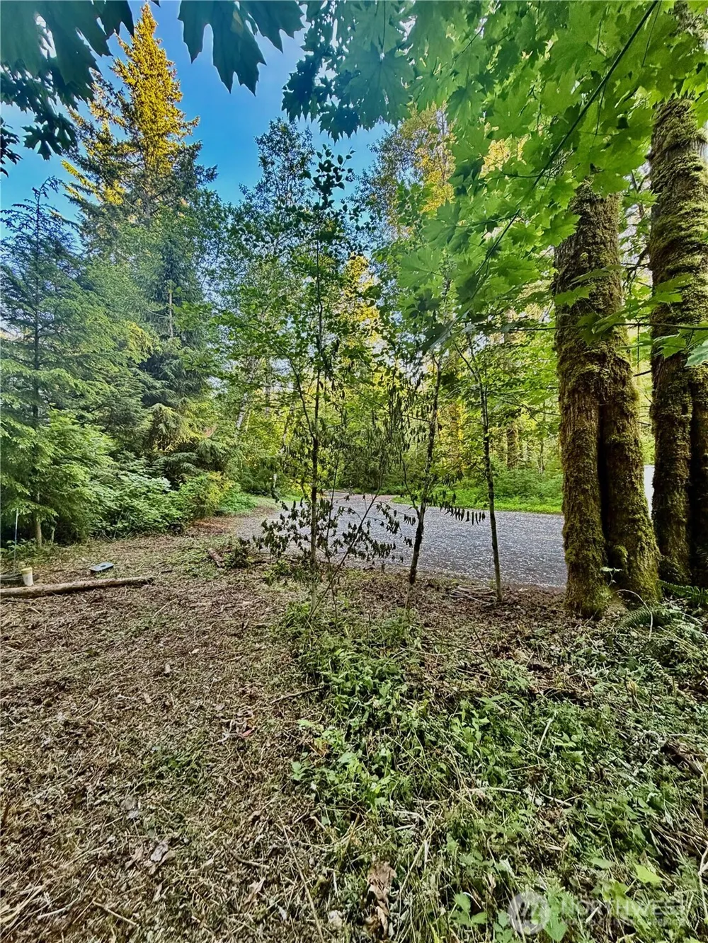 7546 Colleen Court Glacier, WA 98244