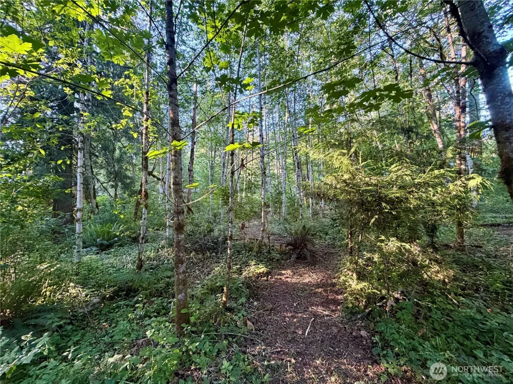 7546 Colleen Court Glacier, WA 98244