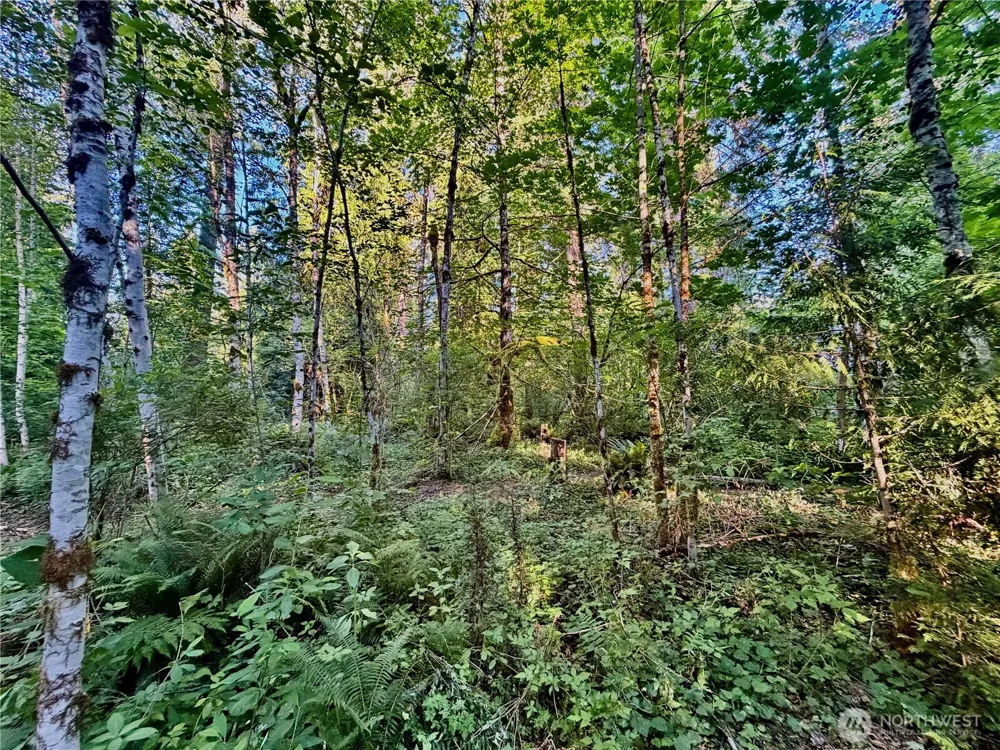 7546 Colleen Court Glacier, WA 98244