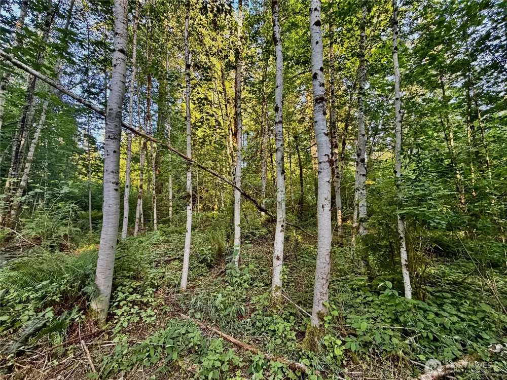 7546 Colleen Court Glacier, WA 98244