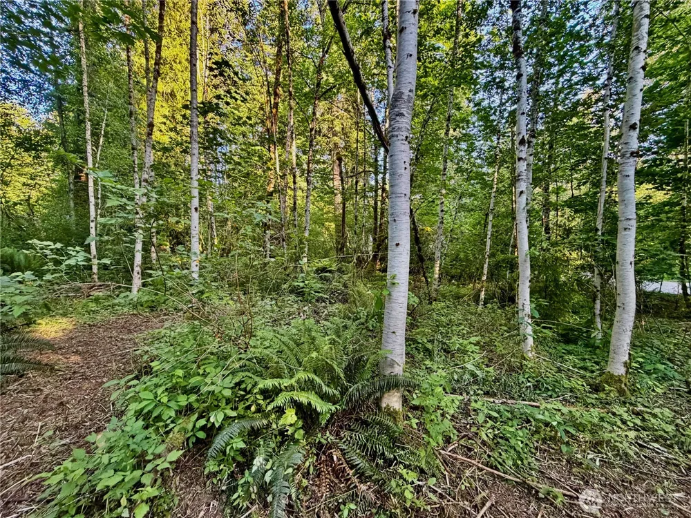 7546 Colleen Court Glacier, WA 98244