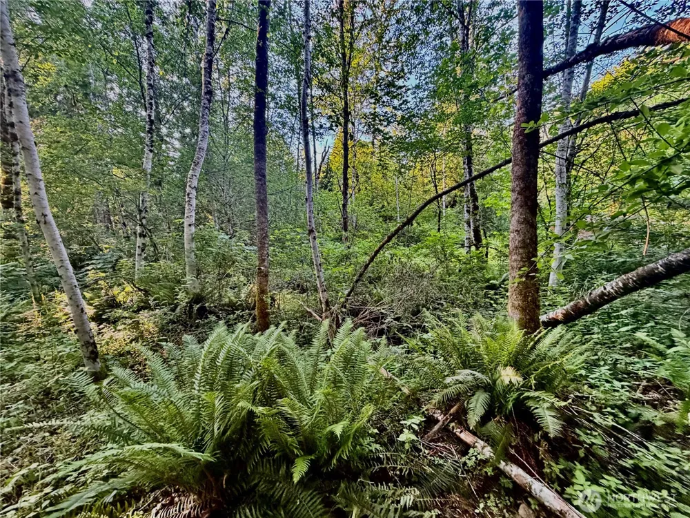7546 Colleen Court Glacier, WA 98244