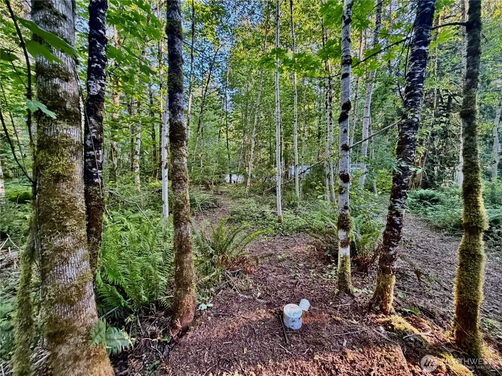 7546 Colleen Court Glacier, WA 98244