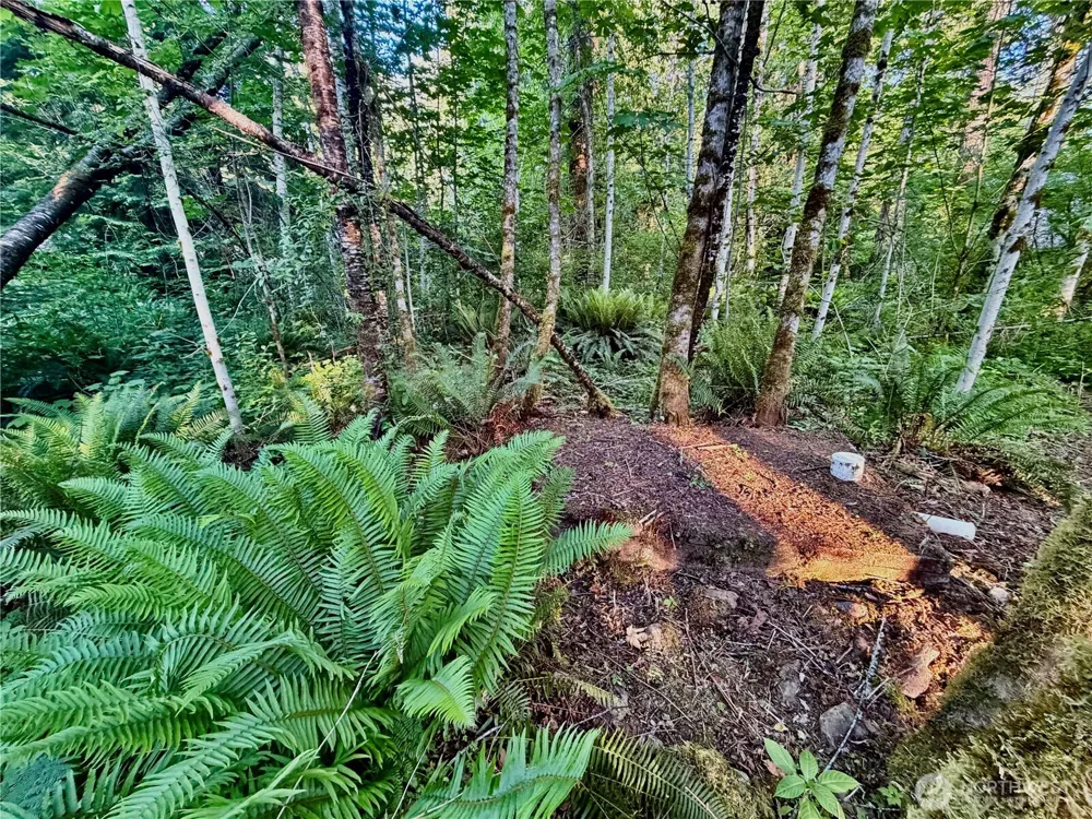 7546 Colleen Court Glacier, WA 98244