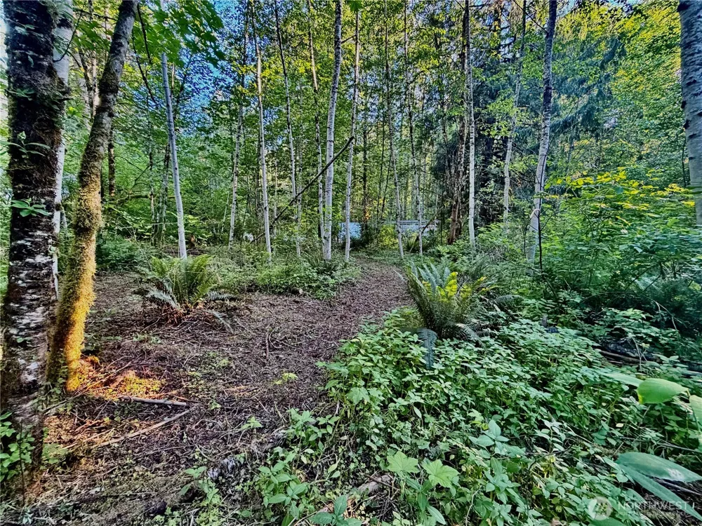 7546 Colleen Court Glacier, WA 98244