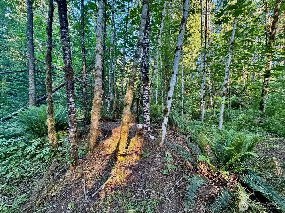 7546 Colleen Court Glacier, WA 98244