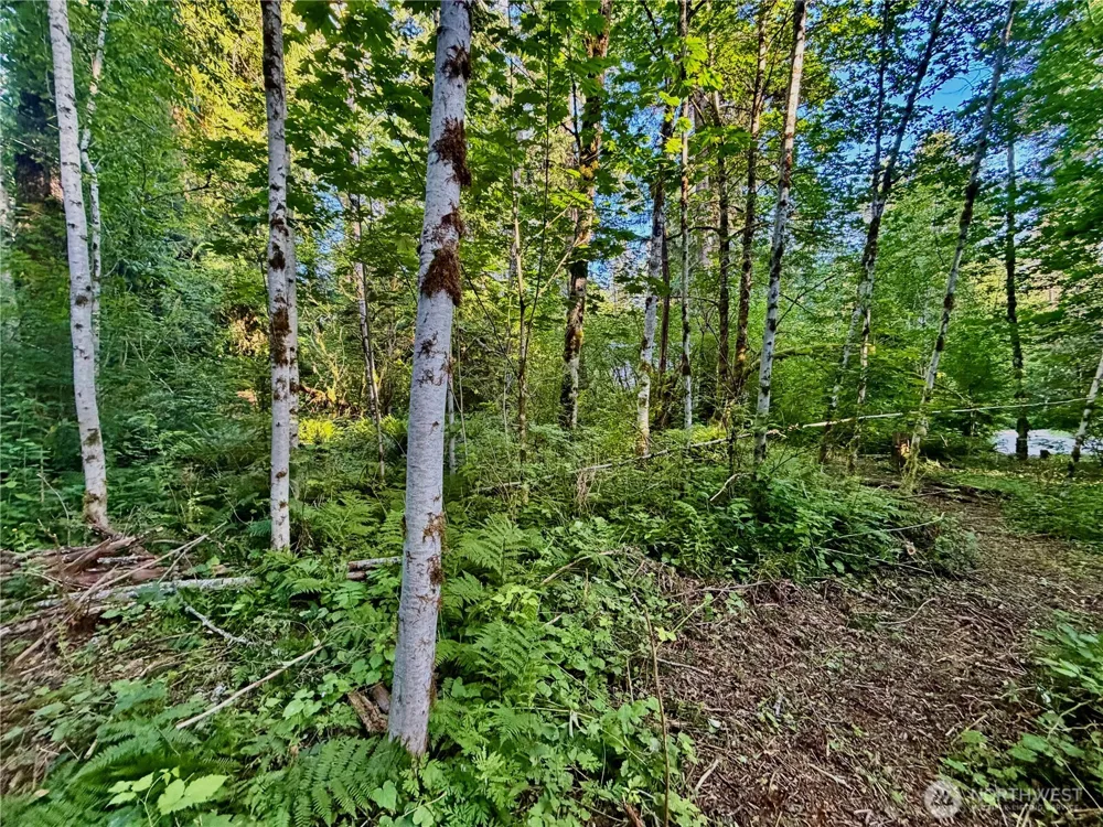 7546 Colleen Court Glacier, WA 98244