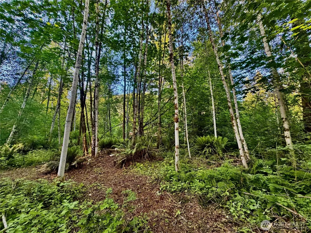 7546 Colleen Court Glacier, WA 98244