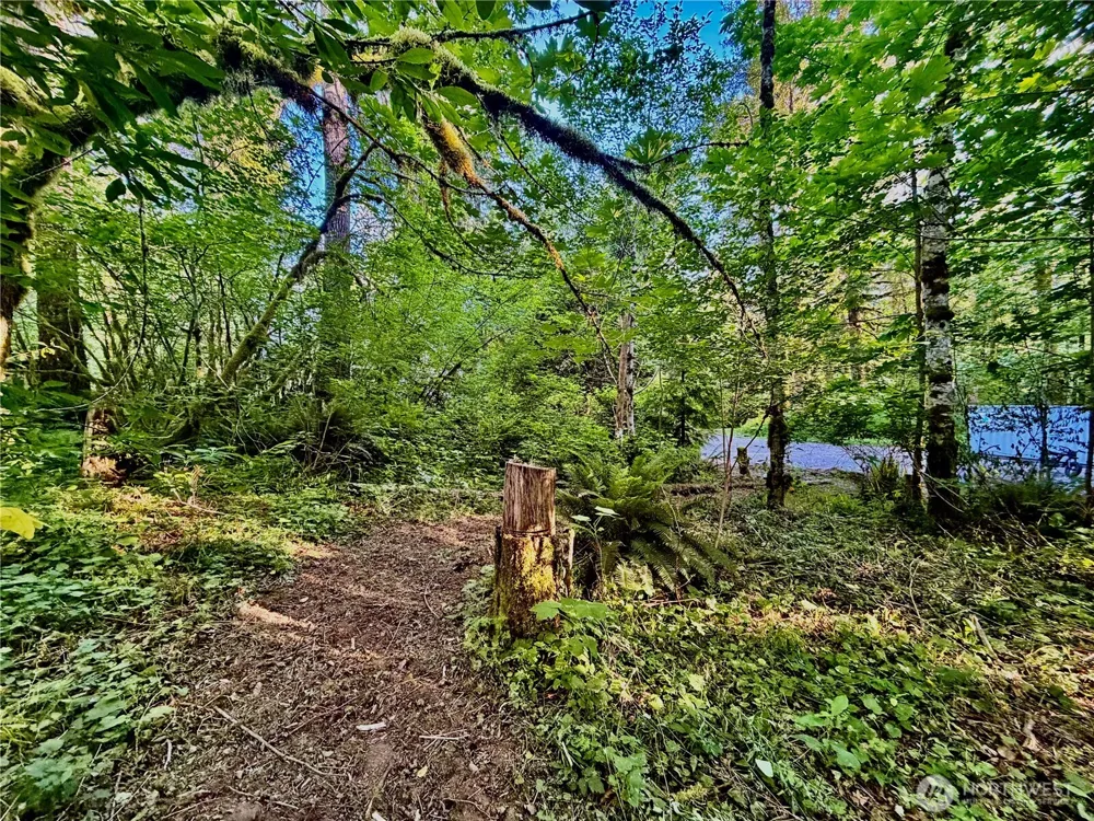 7546 Colleen Court Glacier, WA 98244