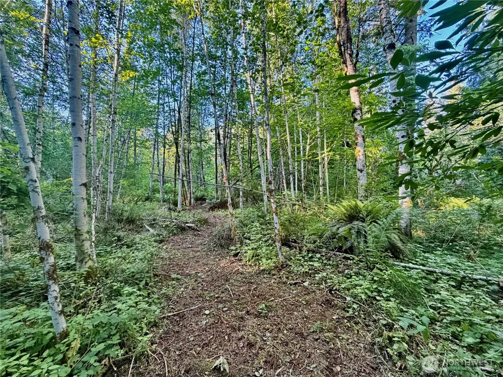 7546 Colleen Court Glacier, WA 98244