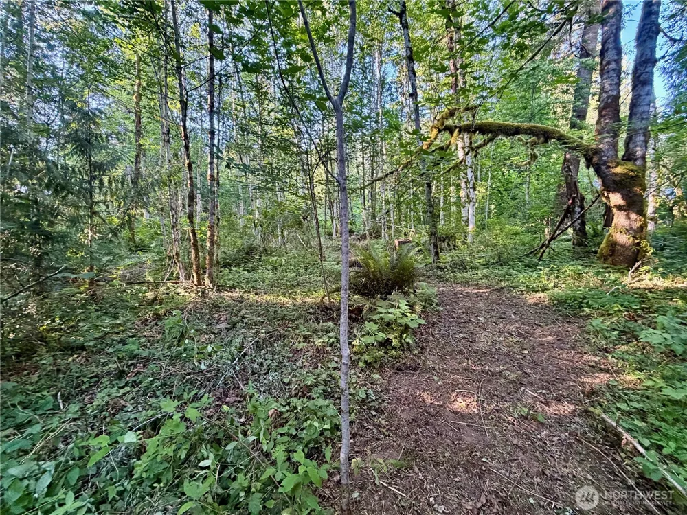 7546 Colleen Court Glacier, WA 98244