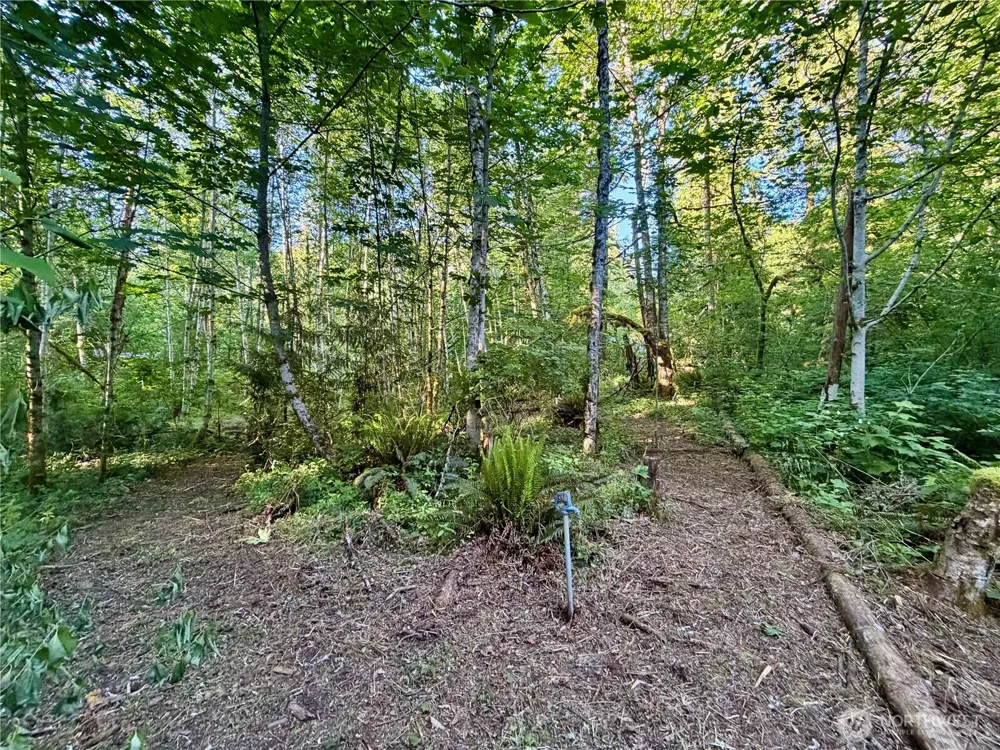 7546 Colleen Court Glacier, WA 98244
