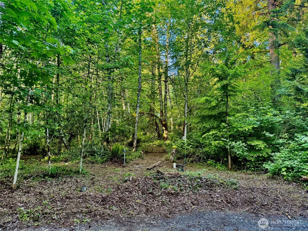 7546 Colleen Court Glacier, WA 98244