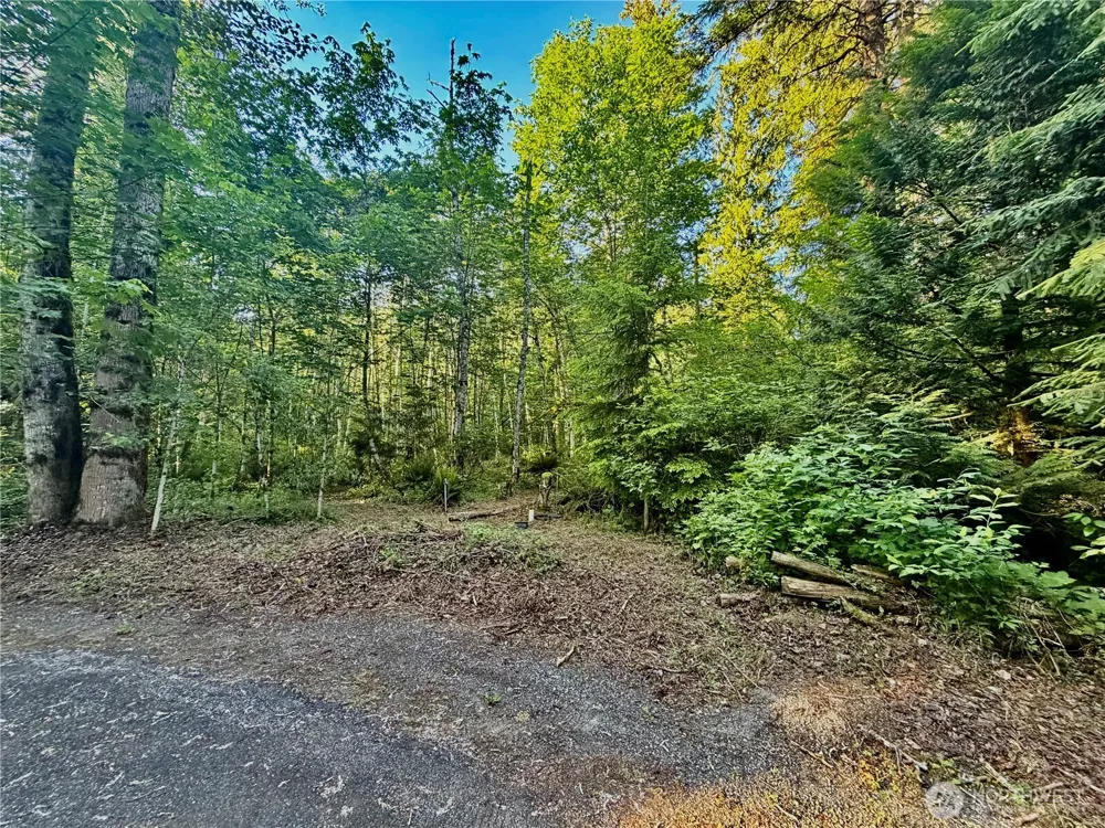 7546 Colleen Court Glacier, WA 98244