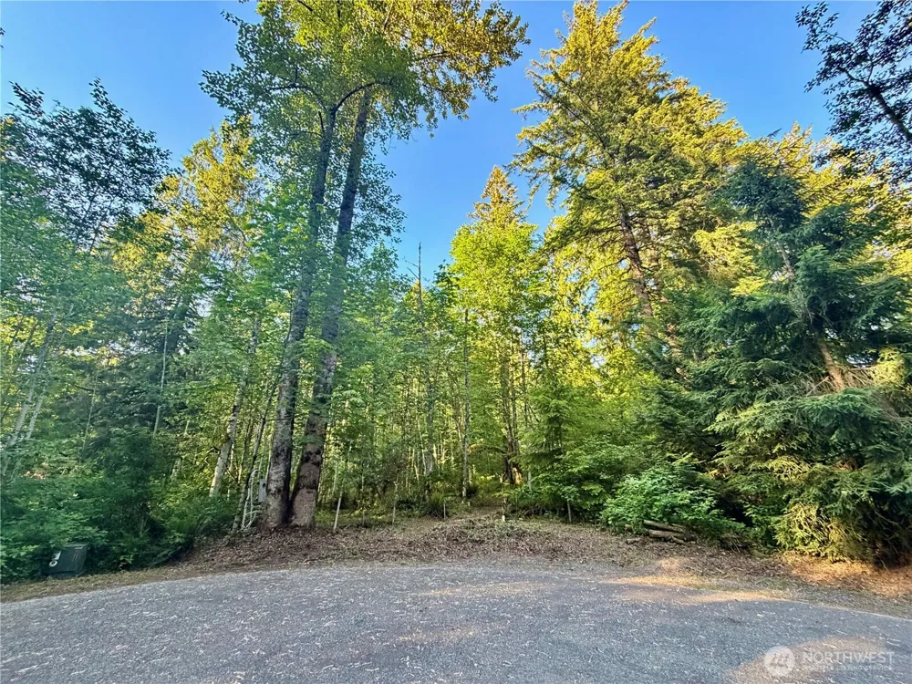 7546 Colleen Court Glacier, WA 98244
