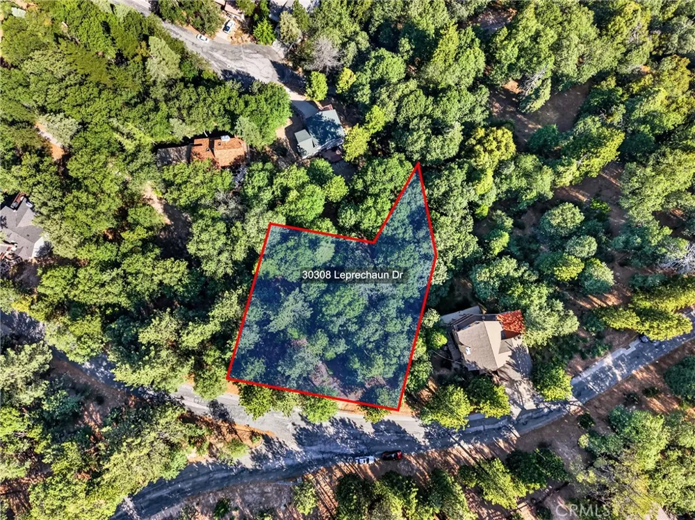 30308 Leprechaun Running Springs, CA 92382