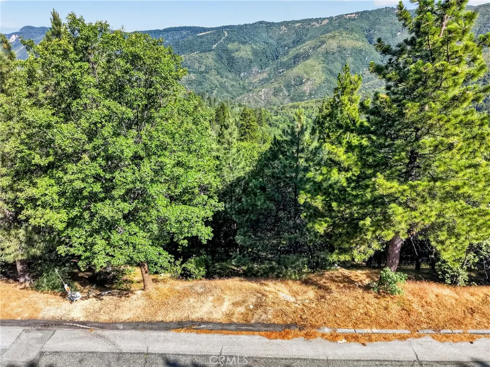 30308 Leprechaun Running Springs, CA 92382