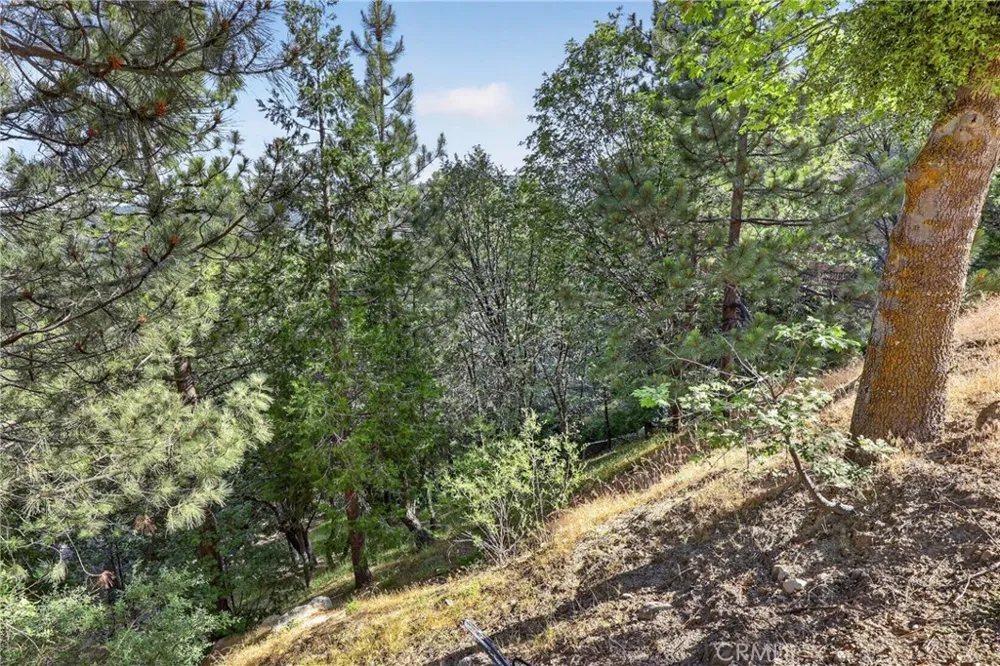 30308 Leprechaun Running Springs, CA 92382